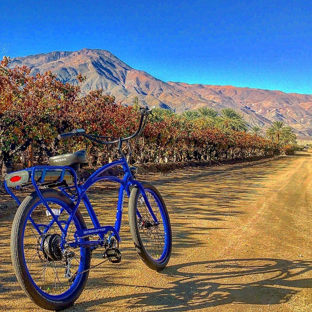 Bike shops la quinta deals