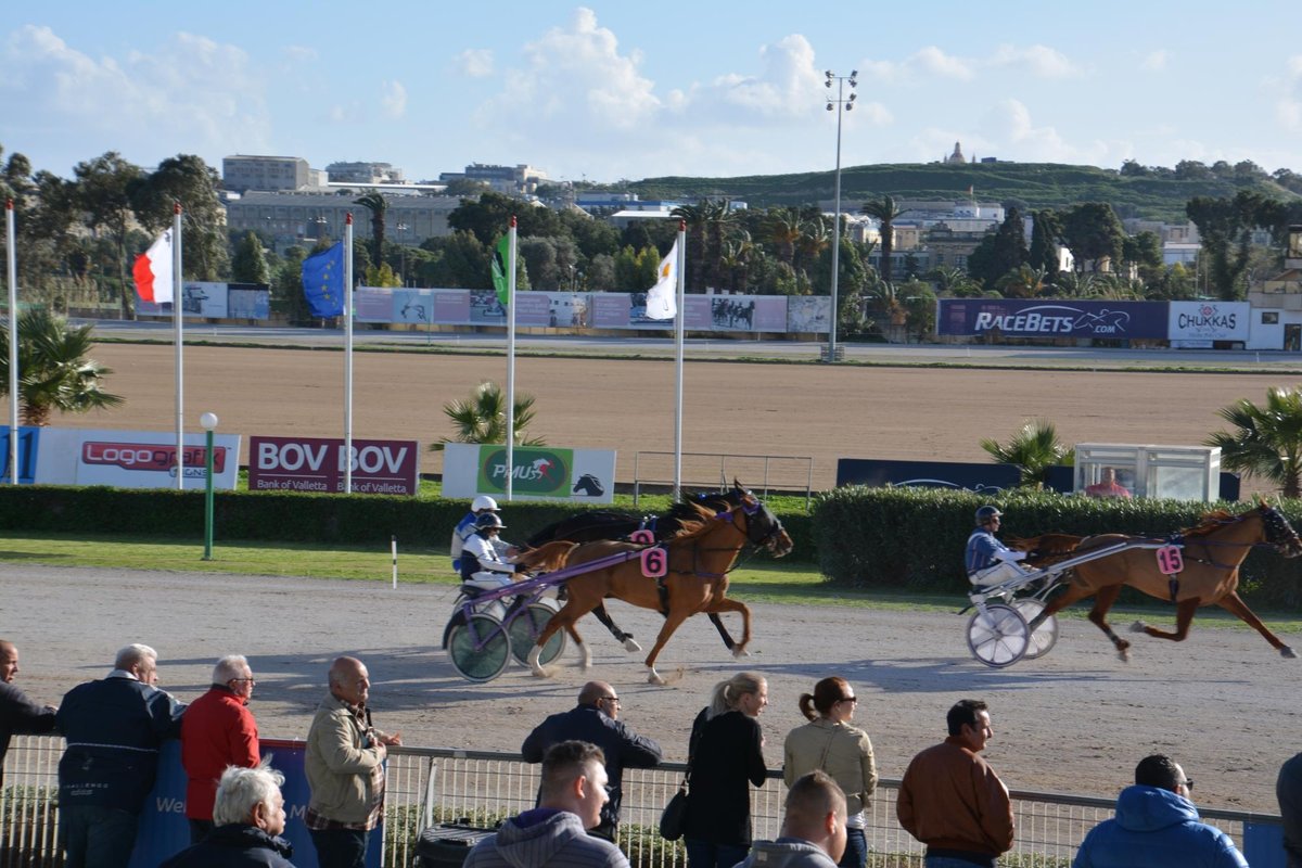 Malta Racing Club, Marsa: лучшие советы перед посещением - Tripadvisor