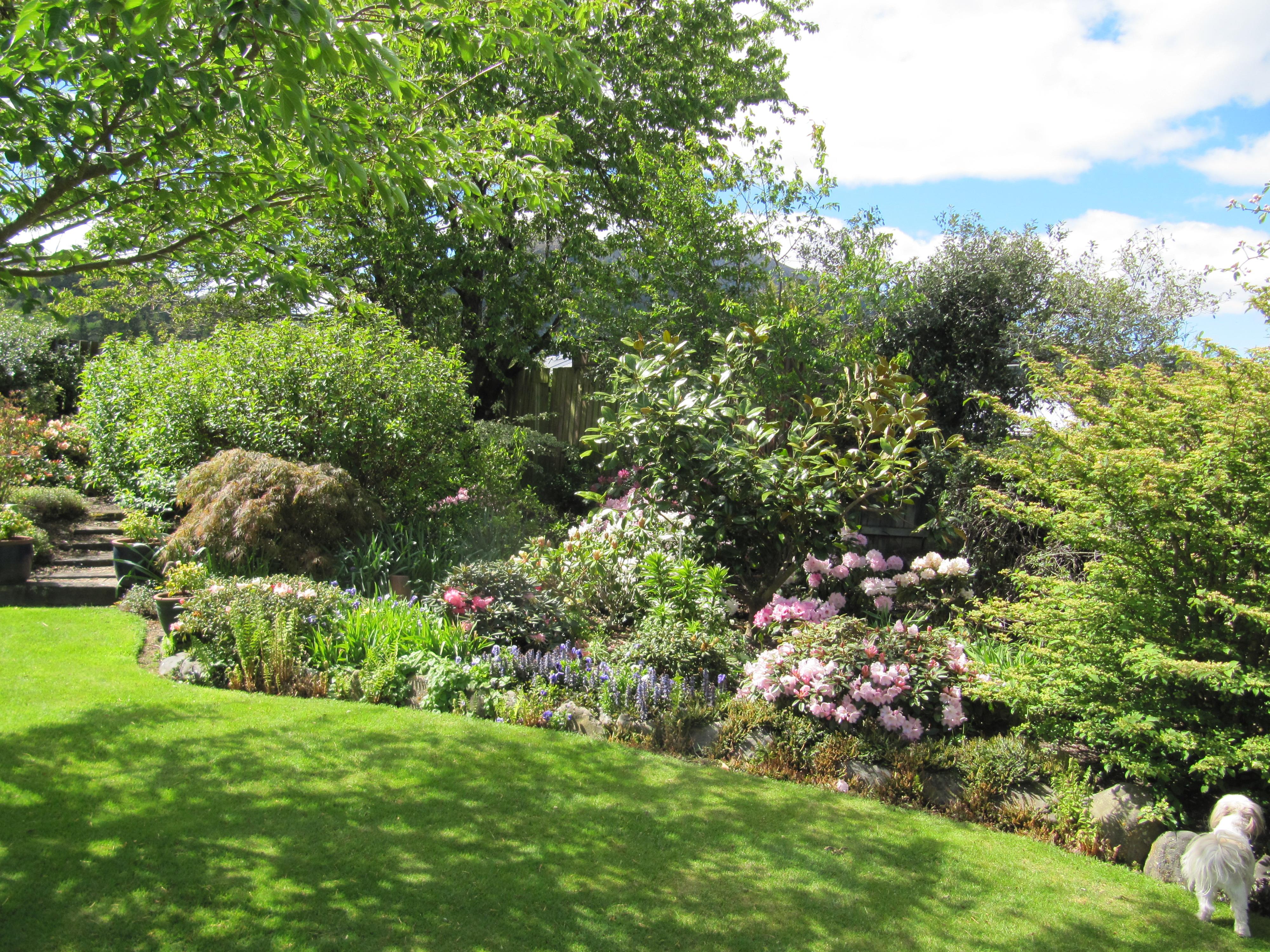 Hotel photo 3 of Marchmont Gardens.