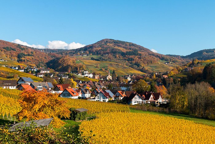 Blick auf Sasbachwalden vom Weingut Schelzberg