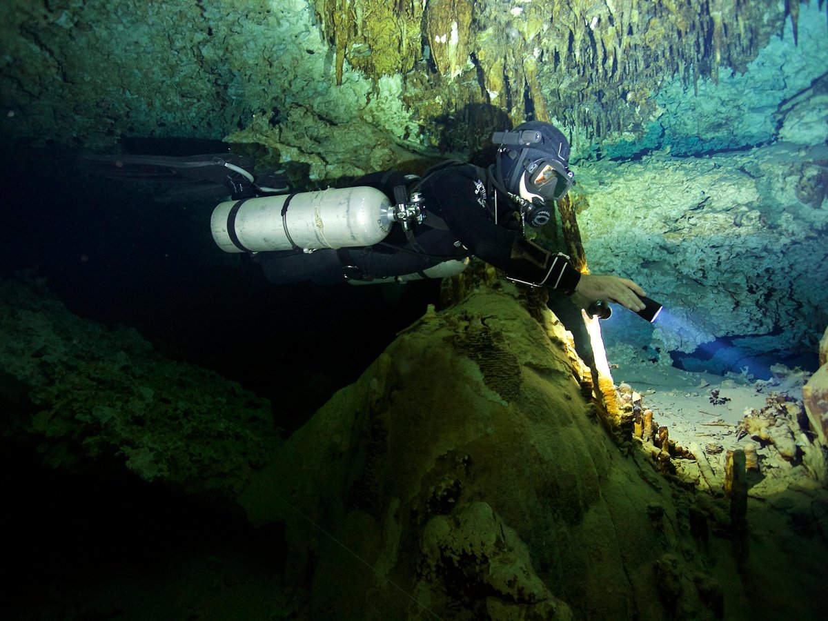 CENOTE CAVE DIVING - All You MUST Know Before You Go (2024)