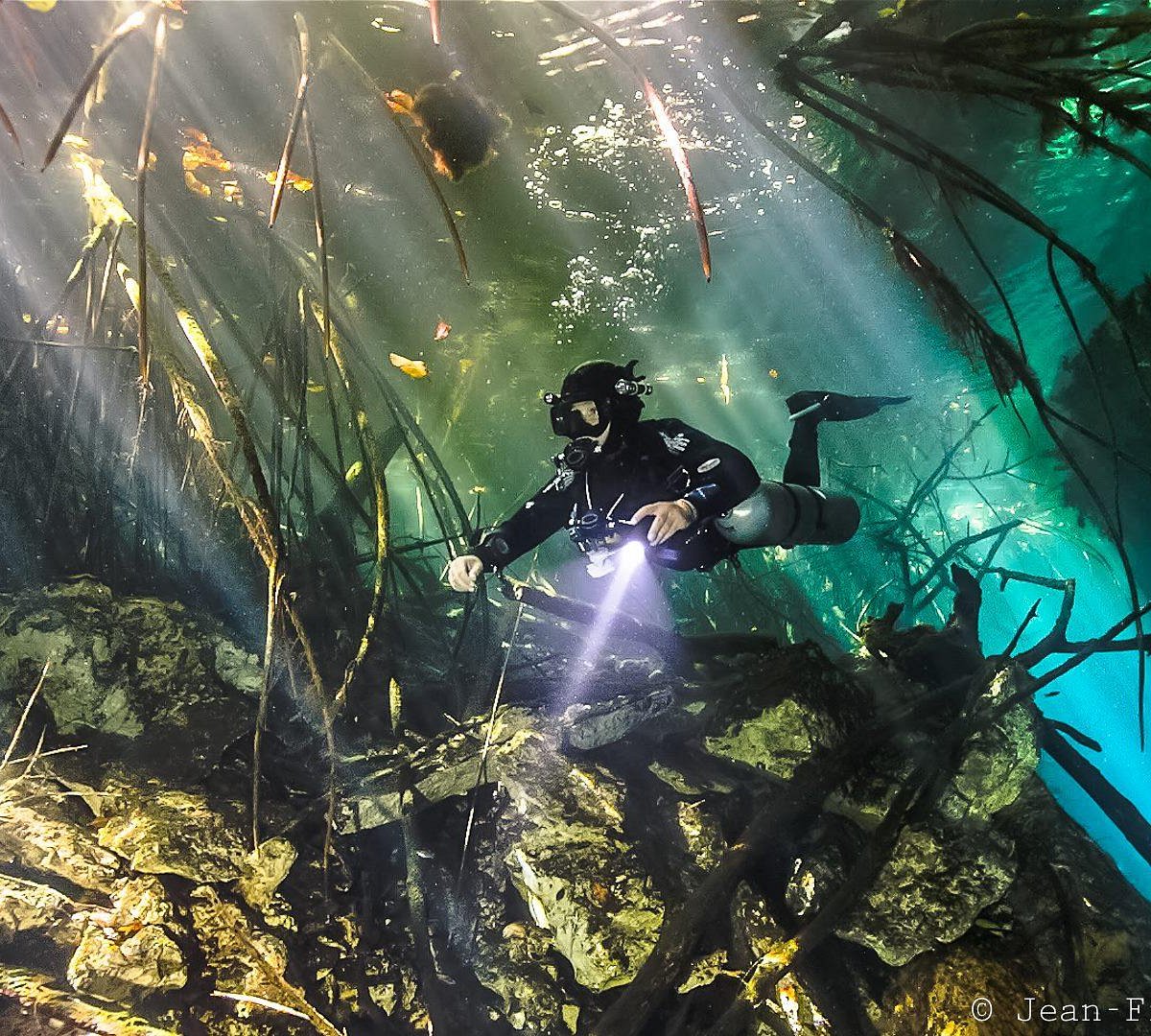 cenote diving in playa del carmen