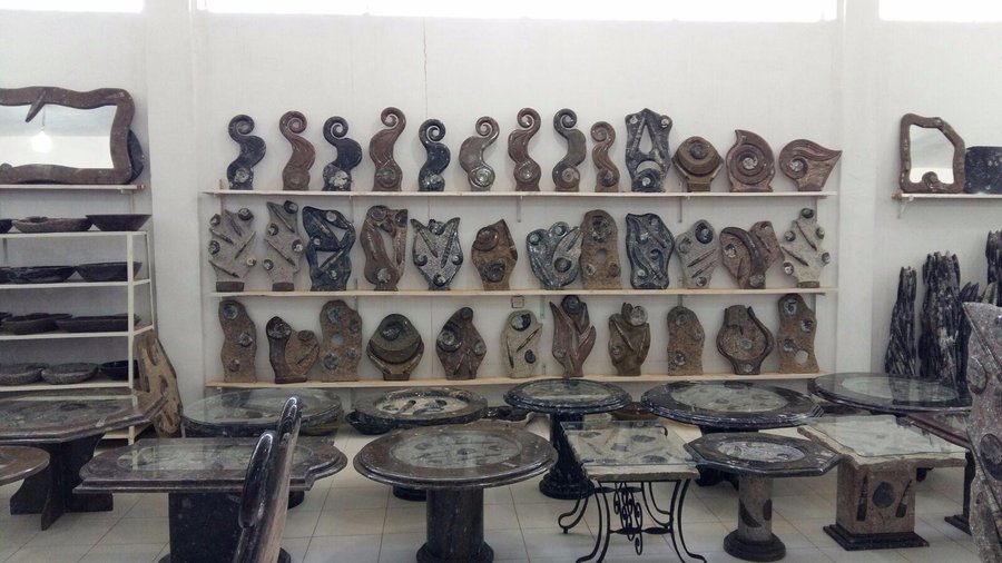 Fossil Furniture & Decorative