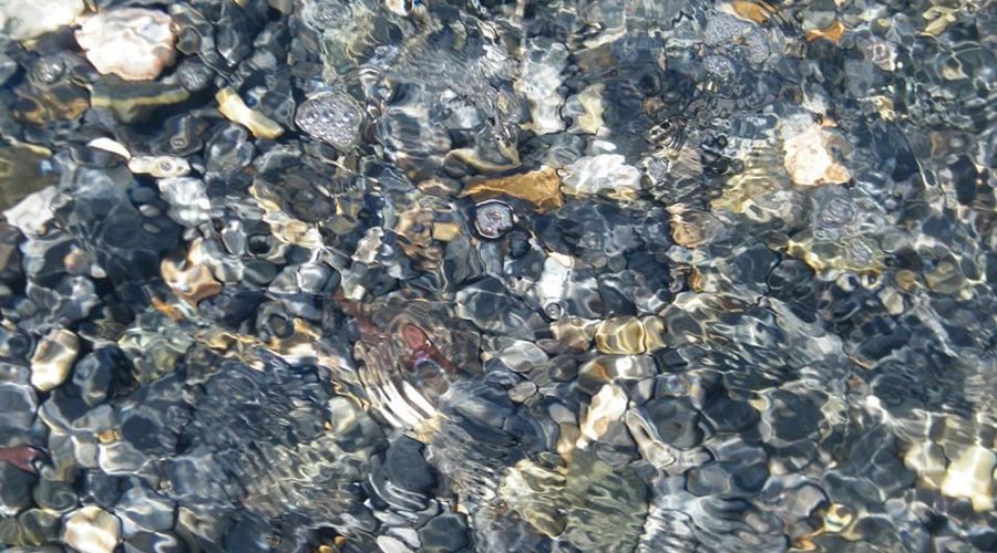 giochi di luce del mare tra i sassi