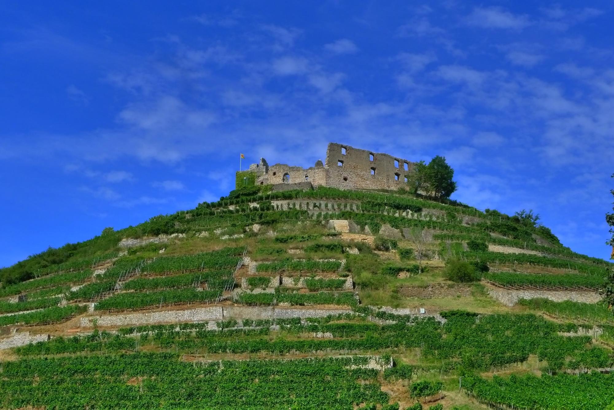 BURGRUINE SCHLOSSBERG All You Need to Know BEFORE You Go with