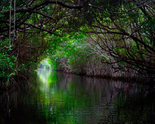 lost city cuban waters