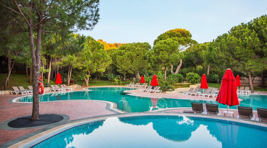 Relax Pool 