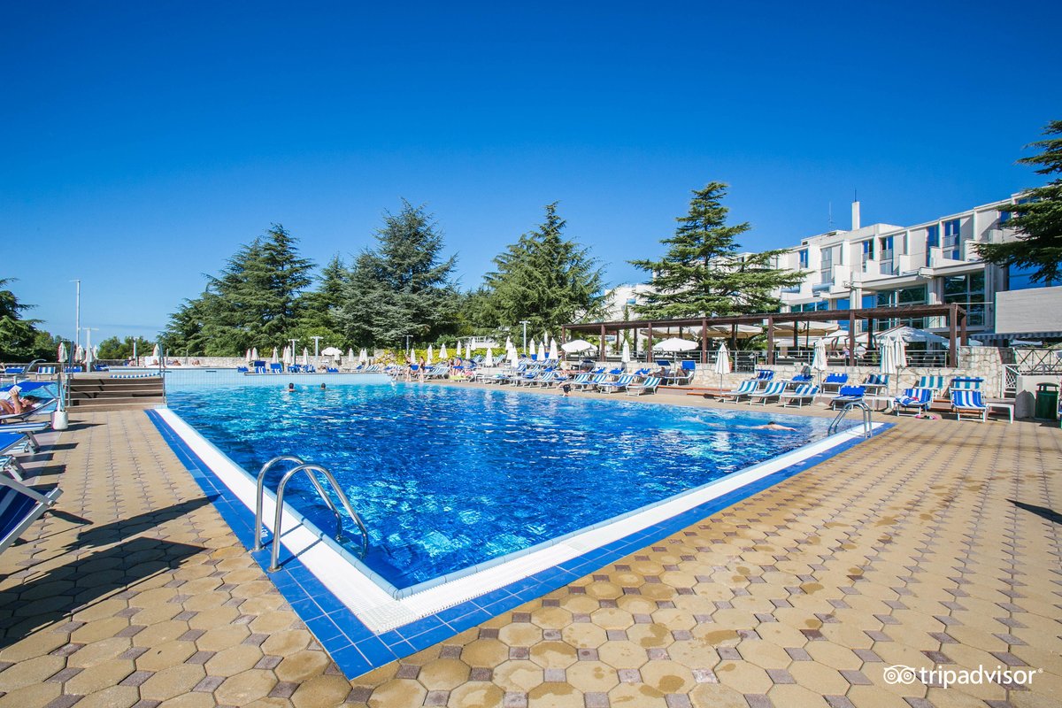 Sunny Poreč By Valamar, Ex. Crystal Bar or Lounge: Pictures & Reviews ...