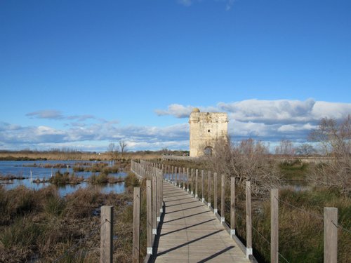 Aigues-Mortes, France 2023: Best Places to Visit - Tripadvisor