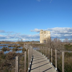 Towers and Ramparts of Aigues-Mortes - All You Need to Know BEFORE