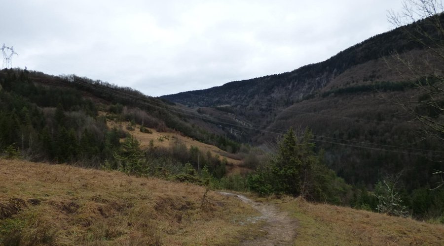 Sentier à travers champs