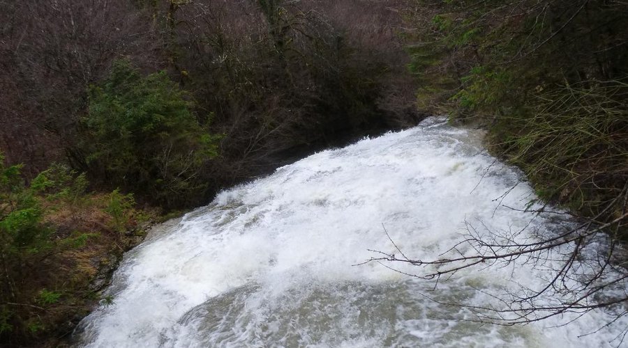 Le ruisseau par très haut débit