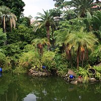 The Pond