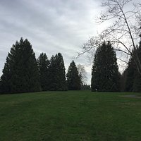 Gabriel Park (Portland) - All You Need to Know BEFORE You Go