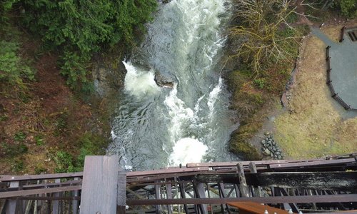 View from Kinsol Trestle