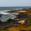 Things To Do in Anglican Parish of Bodalla and Narooma, Restaurants in Anglican Parish of Bodalla and Narooma