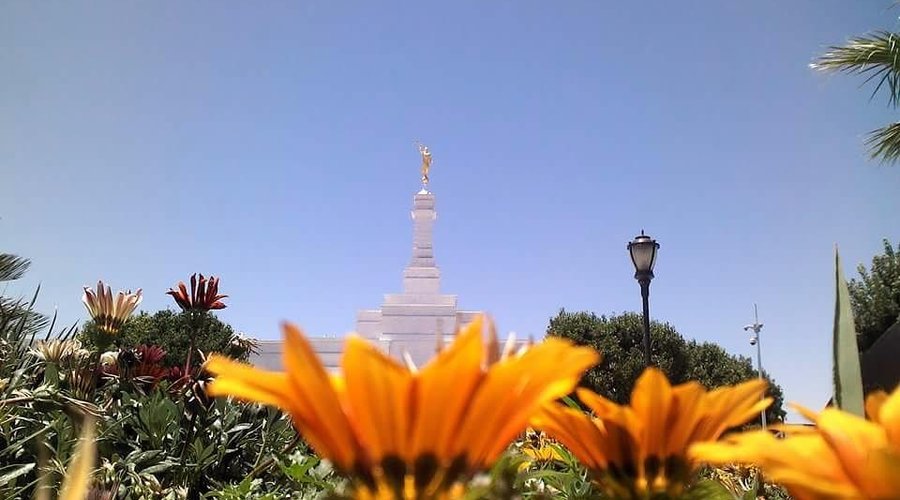 Ciudad Juárez México Temple (Ciudad Juarez, Mexico): Address, Phone ...