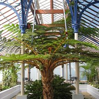 Pearson Conservatory