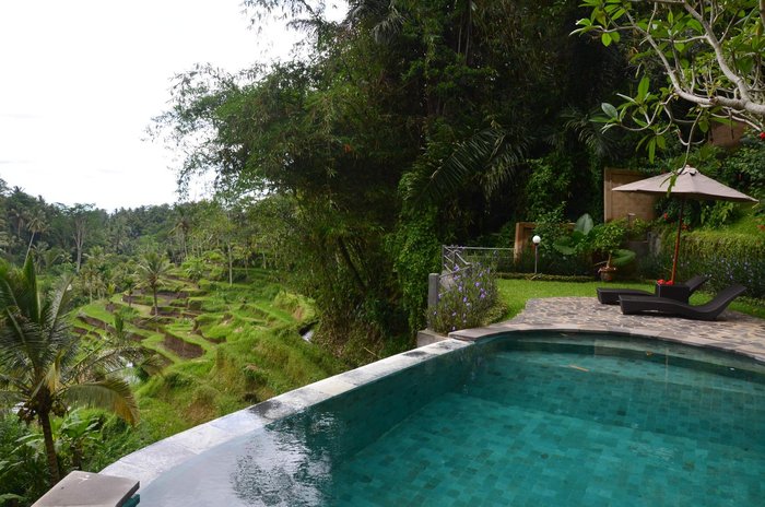 Villa Wedang Ubud Pool Pictures & Reviews - Tripadvisor