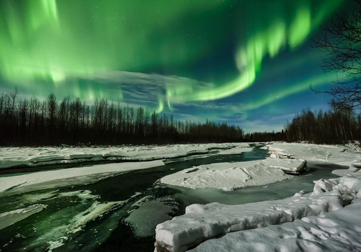 Aurora Dora (Talkeetna) - All You Need to Know BEFORE You Go