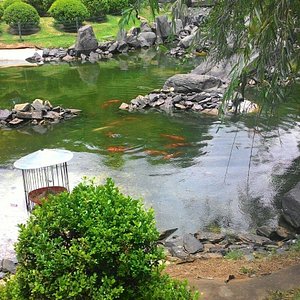 Parque das Mangabeiras, Praça da Liberdade, comida boa e muito mais: evento  proporciona passeios por pontos turísticos de BH, O Que Fazer em Belo  Horizonte