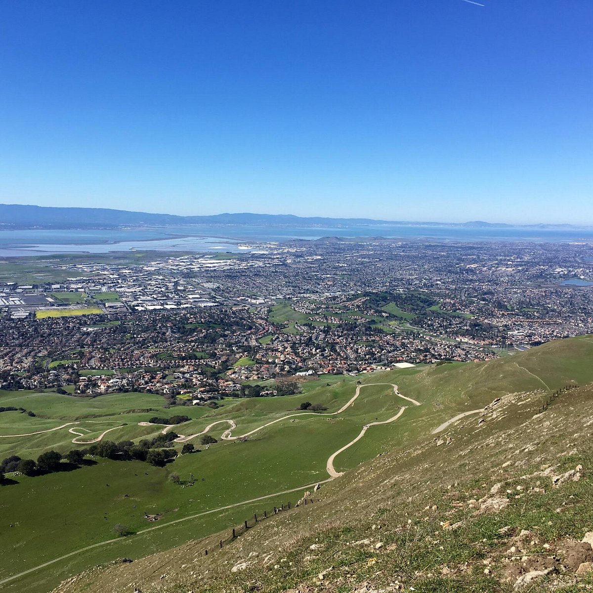 MISSION PEAK REGIONAL PRESERVE - All You Need to Know BEFORE You Go (with  Photos)