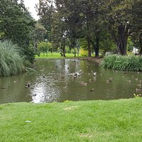 Carlton Gardens