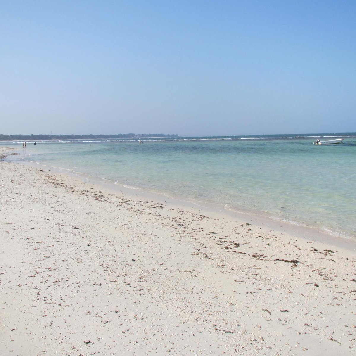 Mombasa Marine National Park - 2021 All You Need to Know BEFORE You Go ...