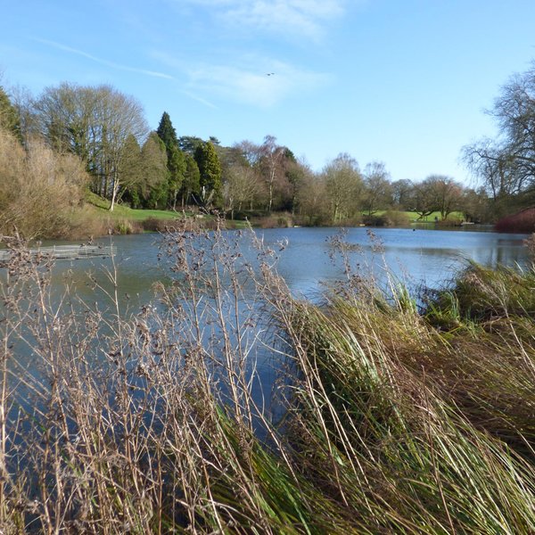 CERNEY HOUSE GARDENS (Cirencester) - All You Need to Know BEFORE You Go