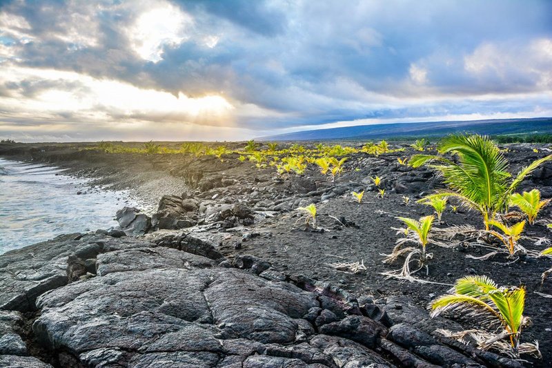 Pahoa, Hawaï 2024: Ce qu'il faut savoir pour votre visite