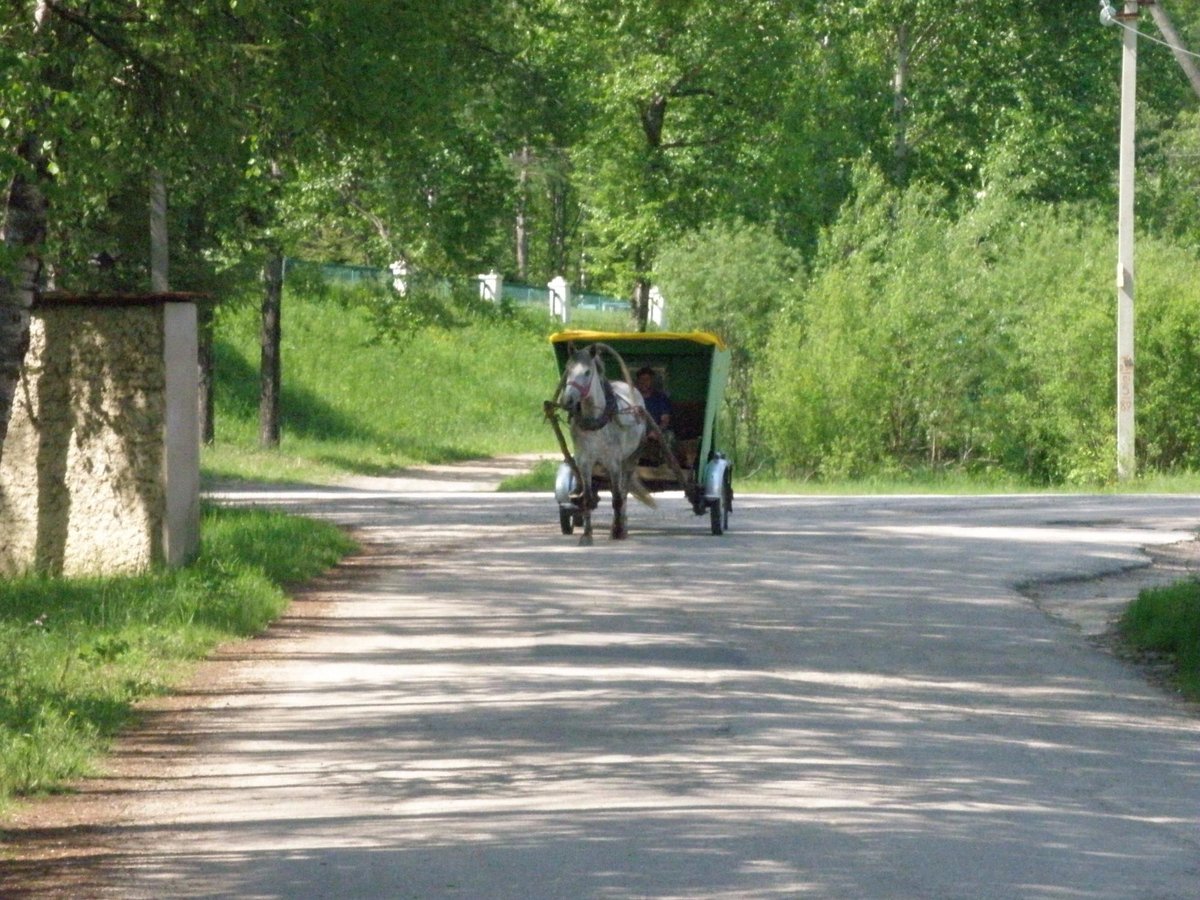 САНАТОРИЙ КУЛЬДУР - отзывы и фото - Tripadvisor