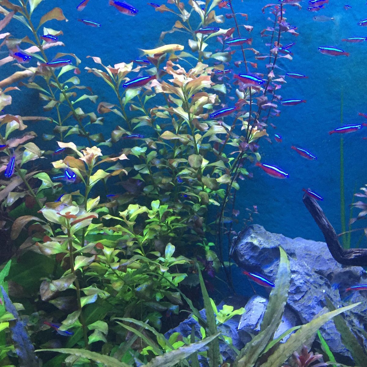 Lotte World Aquarium, Сеул: лучшие советы перед посещением - Tripadvisor