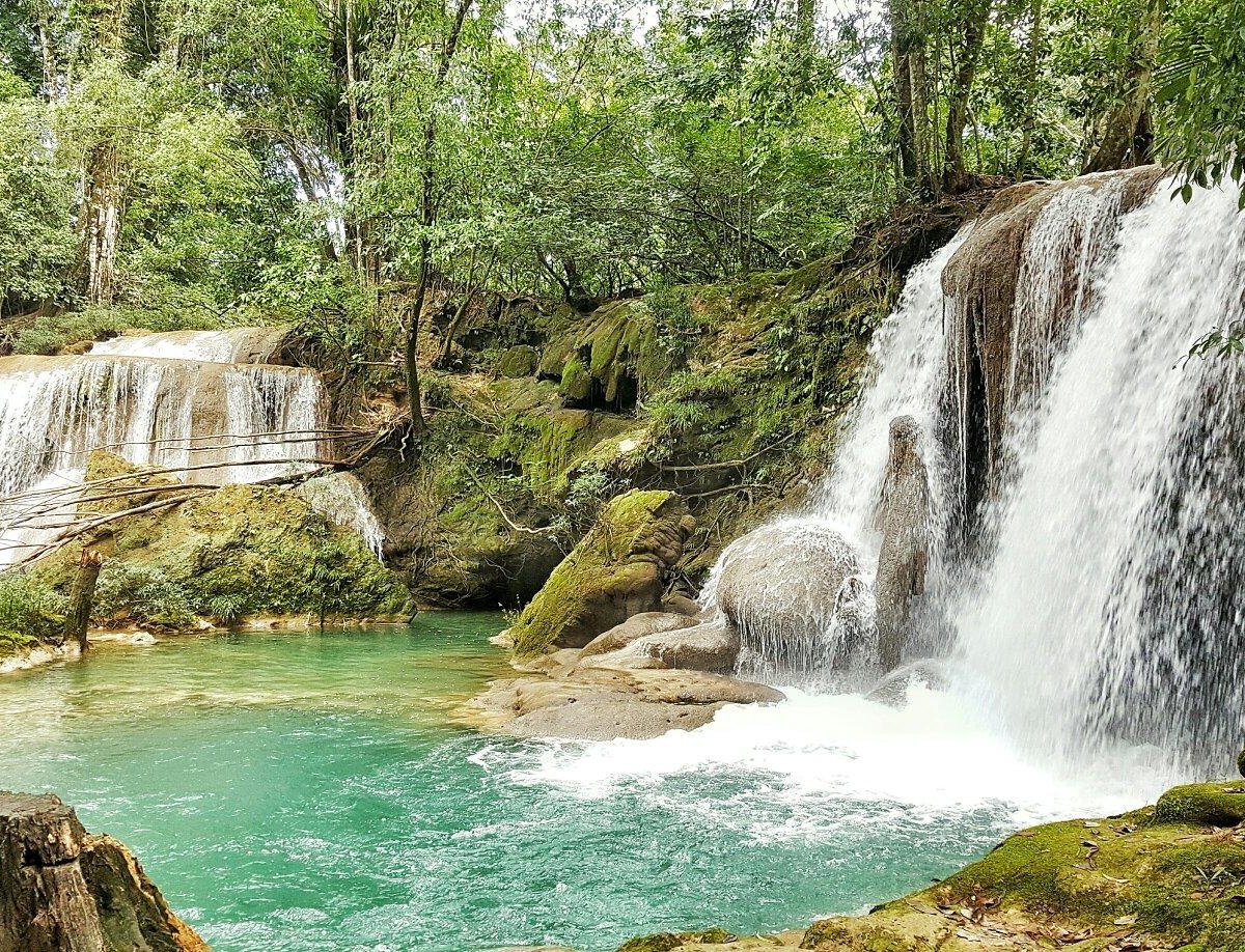 JUNGLE PALACE (PALENQUE, MÉXICO): 57 fotos e avaliações - Tripadvisor