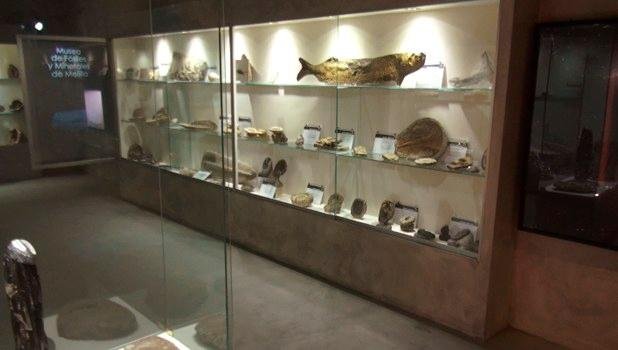 Museo De Fósiles Y Minerales (melilla): All You Need To Know