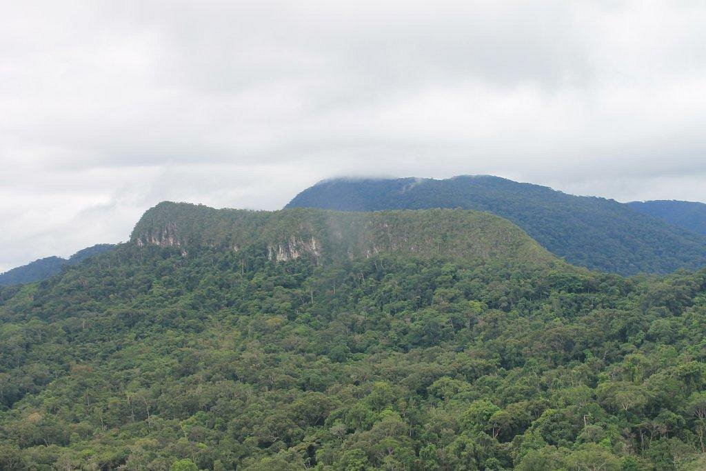 Parque Nacional Do Pico Da Neblina Sao Gabriel Da Cachoeira Parque Nacional Do Pico Da 6051