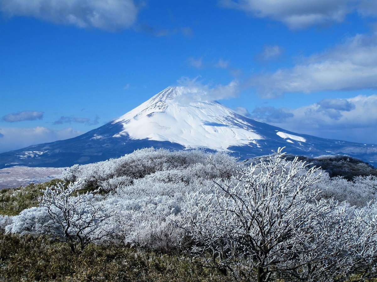 Mount Fuji Museum (Susono) - All You Need to Know BEFORE You Go