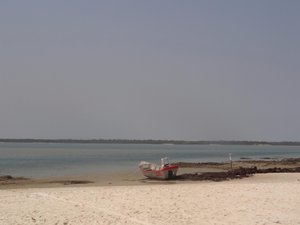 Pool & Beach