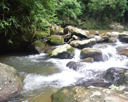 Praia do Viana é urbana e tem águas claras, mornas e tranquilas. É ideal  para crianças e quem busca tranquilidade. - Picture of Ilhabela, State of  Sao Paulo - Tripadvisor