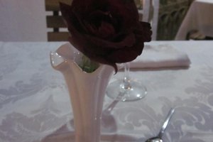Bebidas