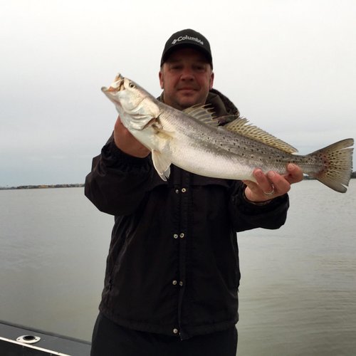 mejor pesca en alta mar galveston