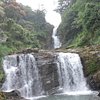 Things To Do in Sudugala Falls, Restaurants in Sudugala Falls