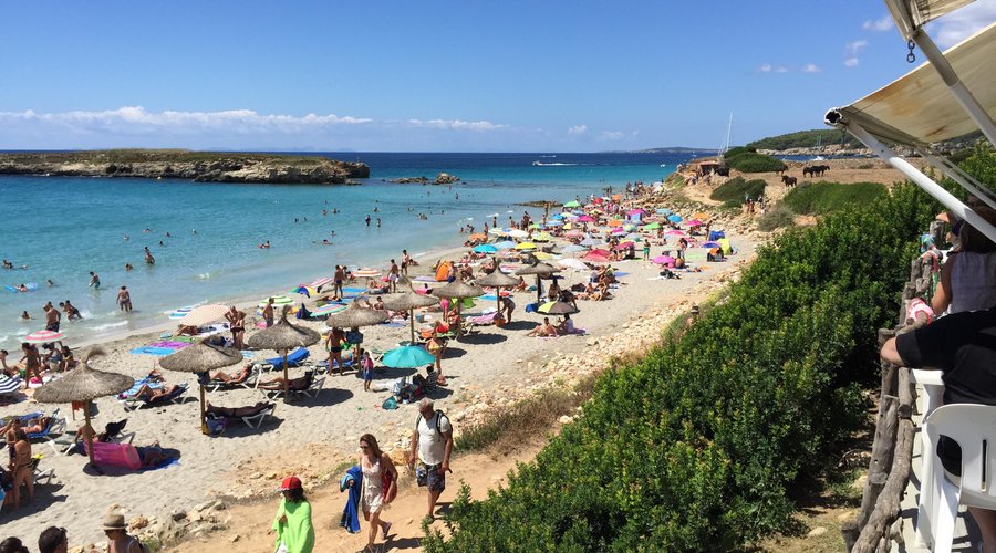 Verano 2015