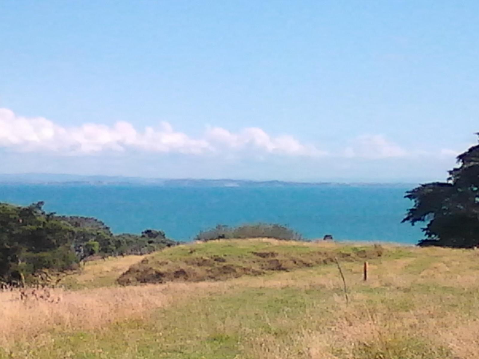 Motutapu Island Nouvelle Z Lande Ce Qu Il Faut Savoir Pour Votre   This Is Just One Of Many 