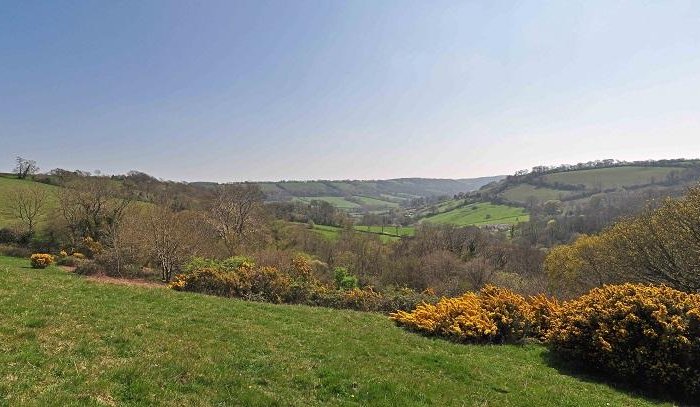 Knapp Copse