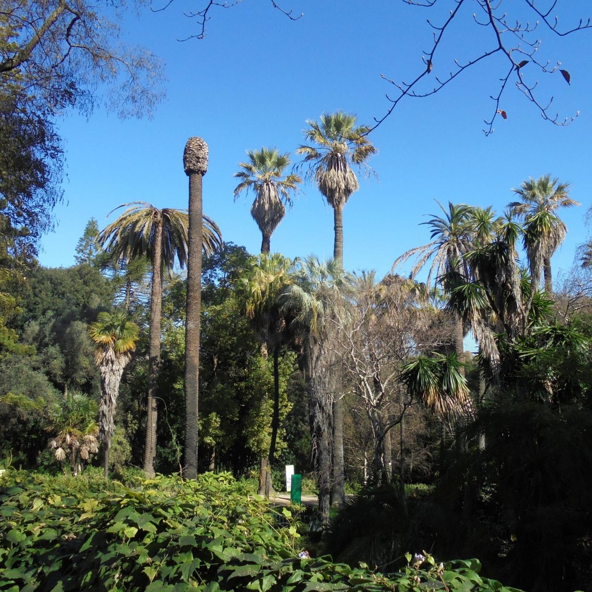 Jardim Botânico Da Universidade De Lisboa - ATUALIZADO 2022 O que saber