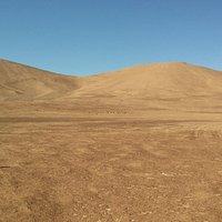 Figuras antropomorfas ubicadas en la region de iquique