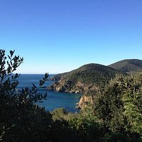 getlstd_property_photo
