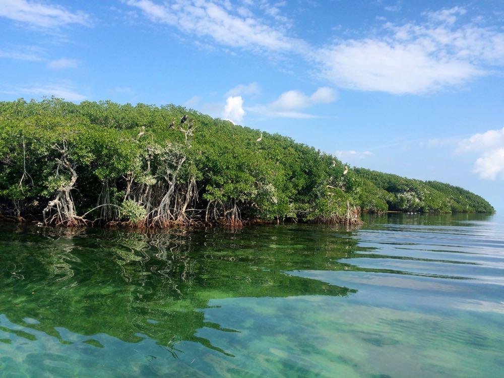 Keys Boat Tours - Big Pine Key - Keys Boat Tours의 리뷰 - 트립어드바이저