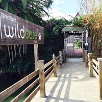 Welcome to WildCare!
