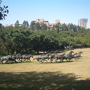 chimelong safari park wikipedia